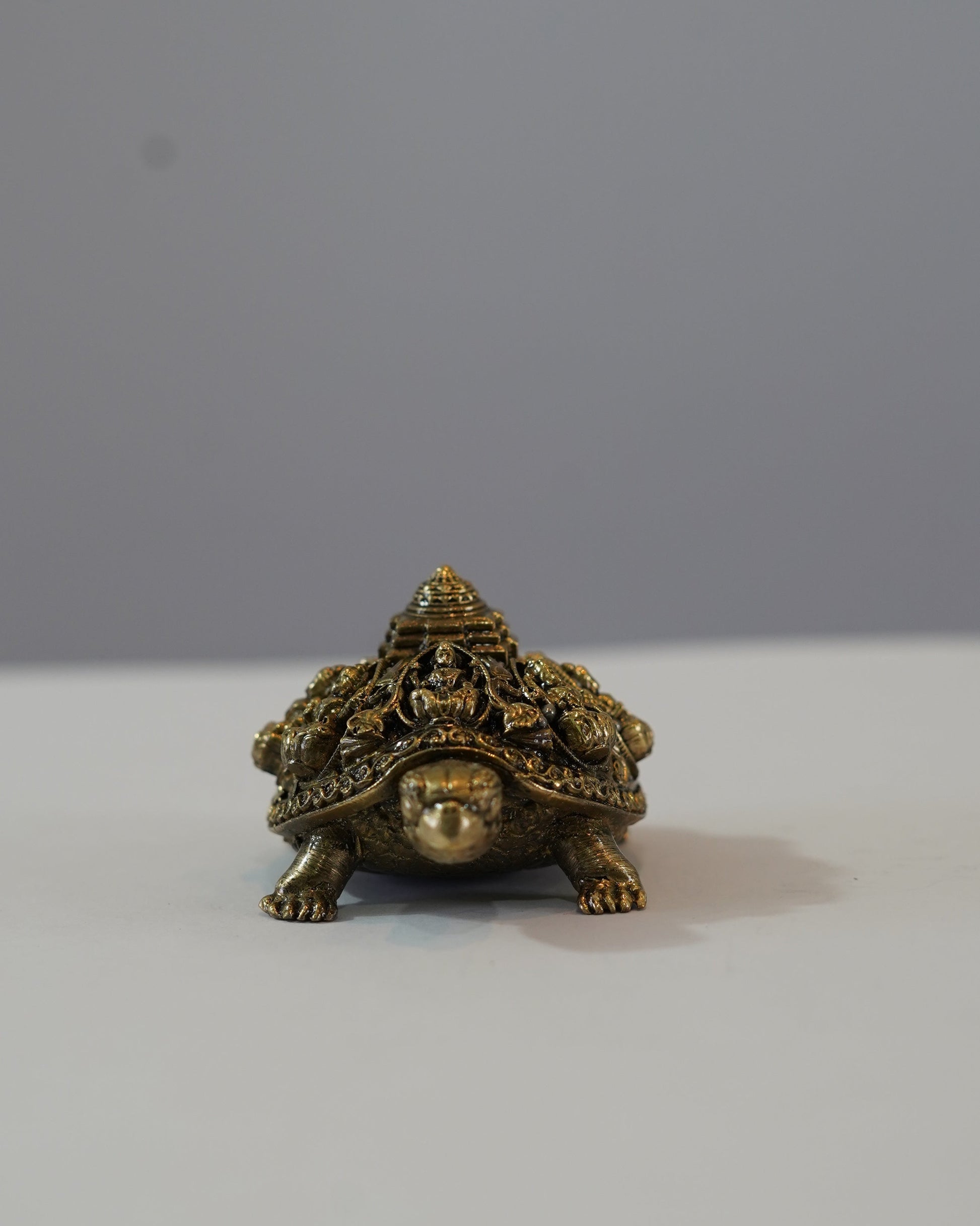Brass Asta Lakshmi on Tortoise