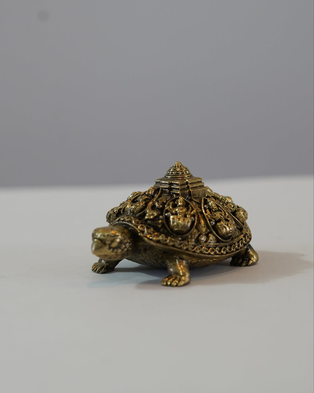 Brass Asta Lakshmi on Tortoise