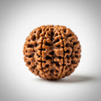 5 Pancha Mukhi Rudraksha