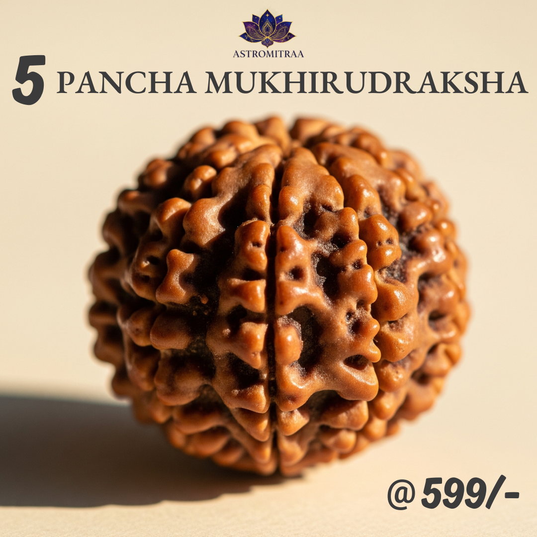 5 Pancha Mukhi Rudraksha