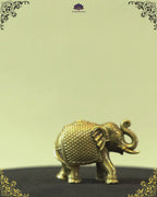 Brass Elephant Idol (Pack of 2)